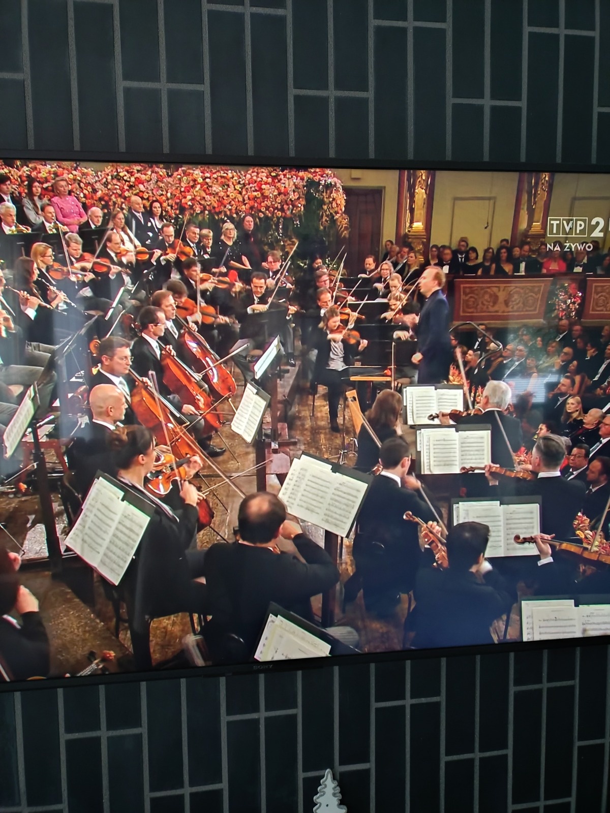 21af8a9a-ea8e-42d7-a927-de6df4be70d3