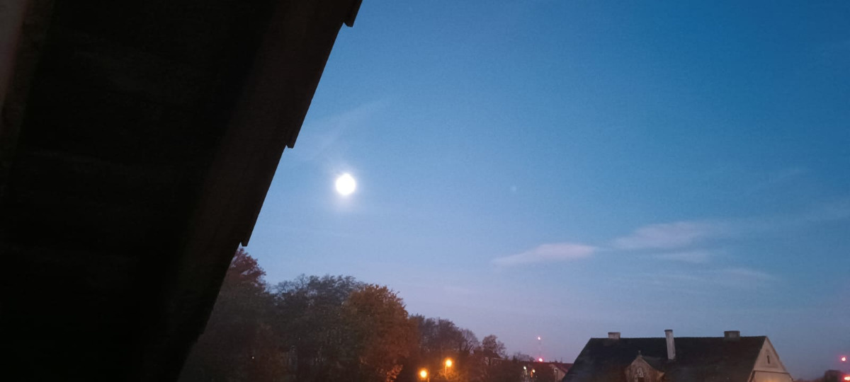 ea87b1cf-5727-4af0-a654-b8e7980c583f