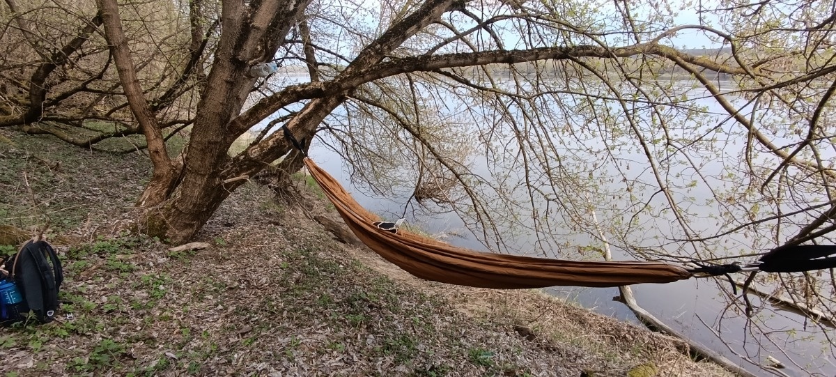 536e1986-ab59-49e4-9556-4a326c40e442