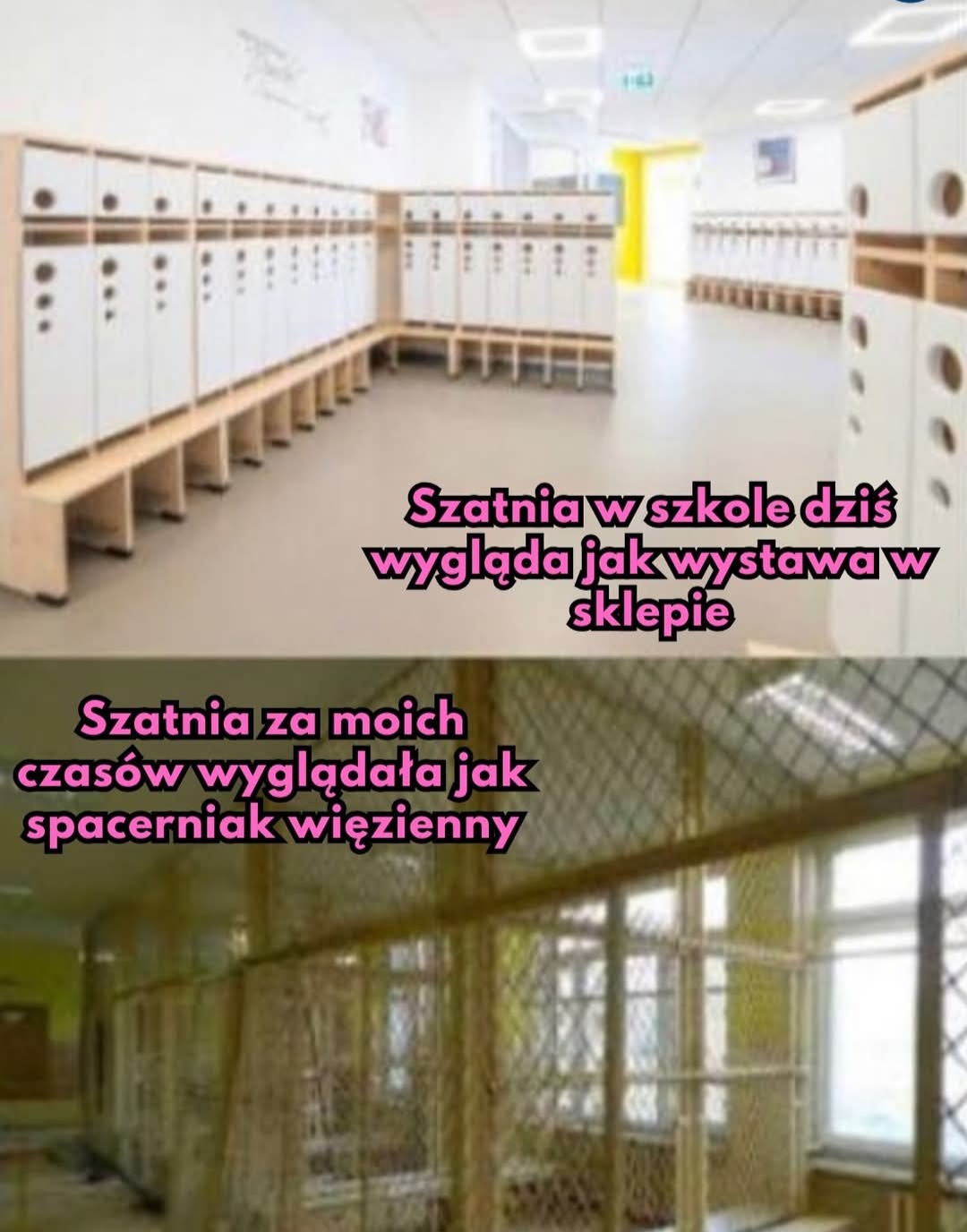 cf2c5680-0363-4226-96f0-9fd924444798