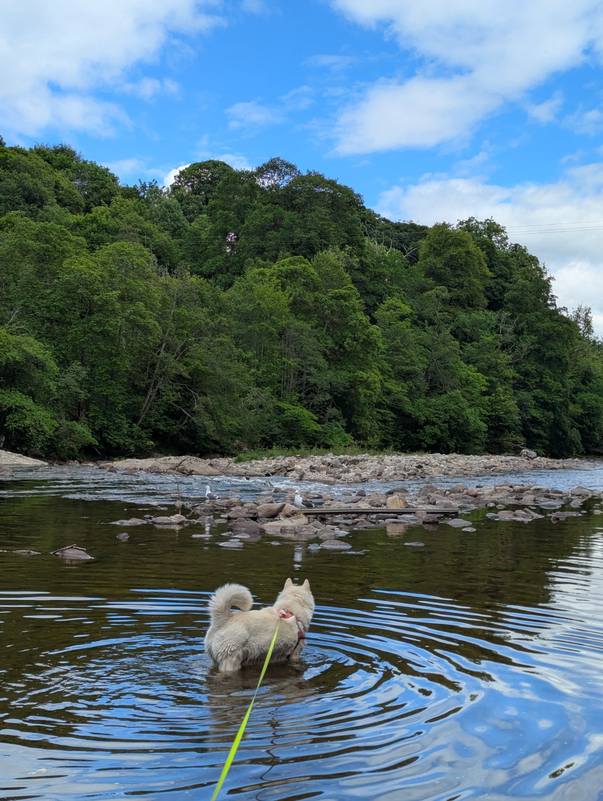 85801cd7-1ab4-47ce-a0c6-6ffdfc17ef93