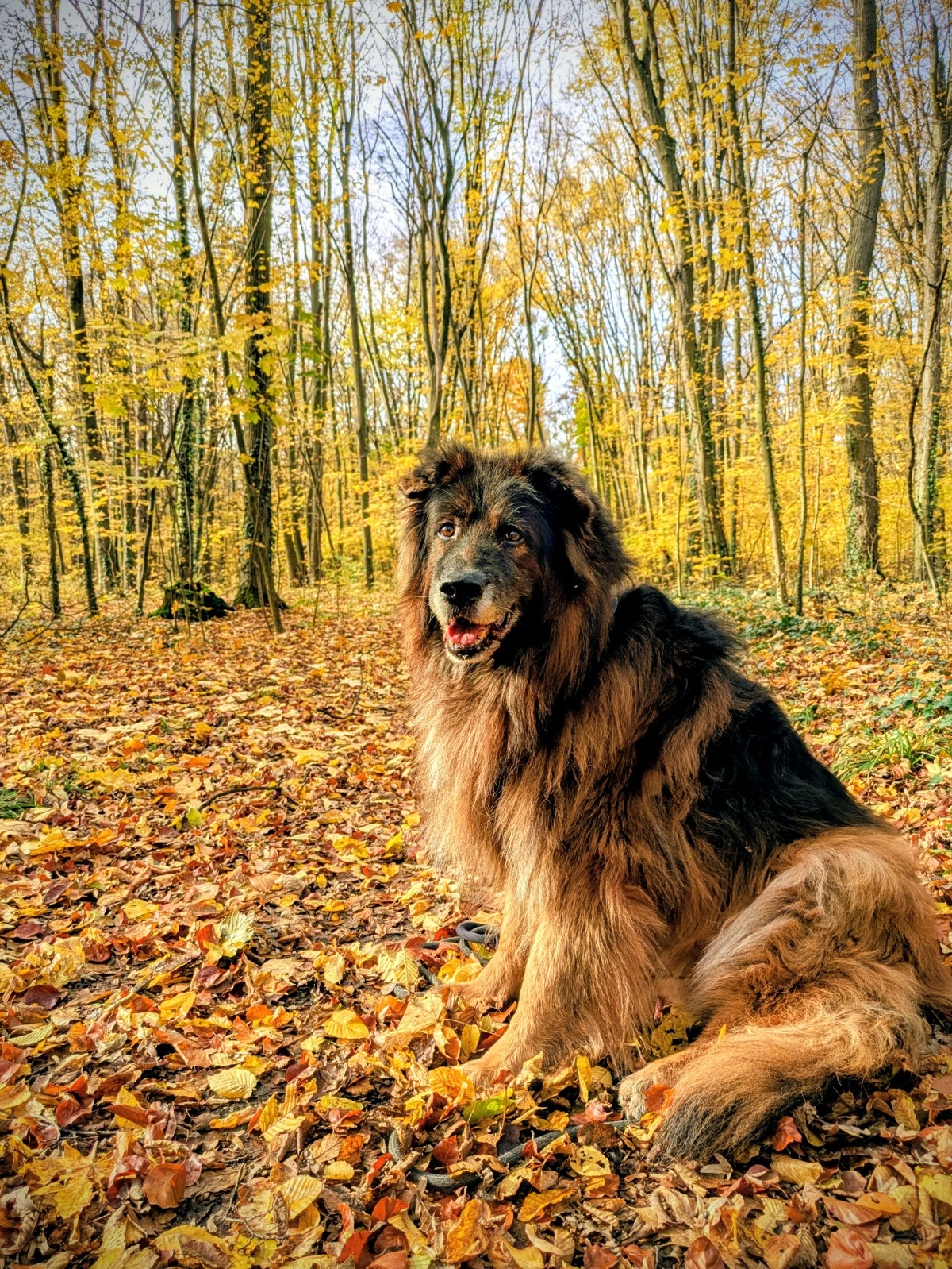 521f5db3-c182-4377-9d70-aa9ec566d053