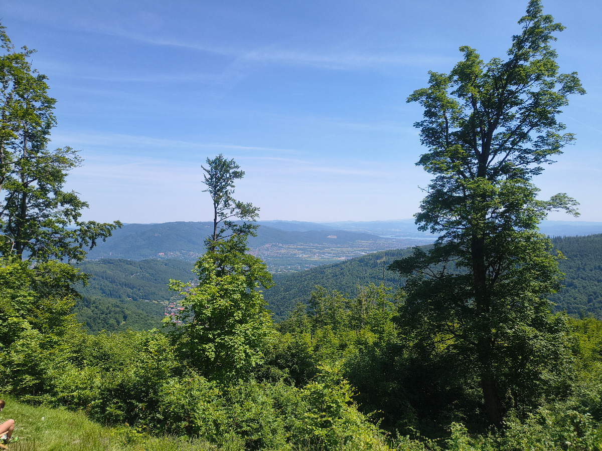 0636df8c-1d5d-4204-8cff-ebb6dd3488c6