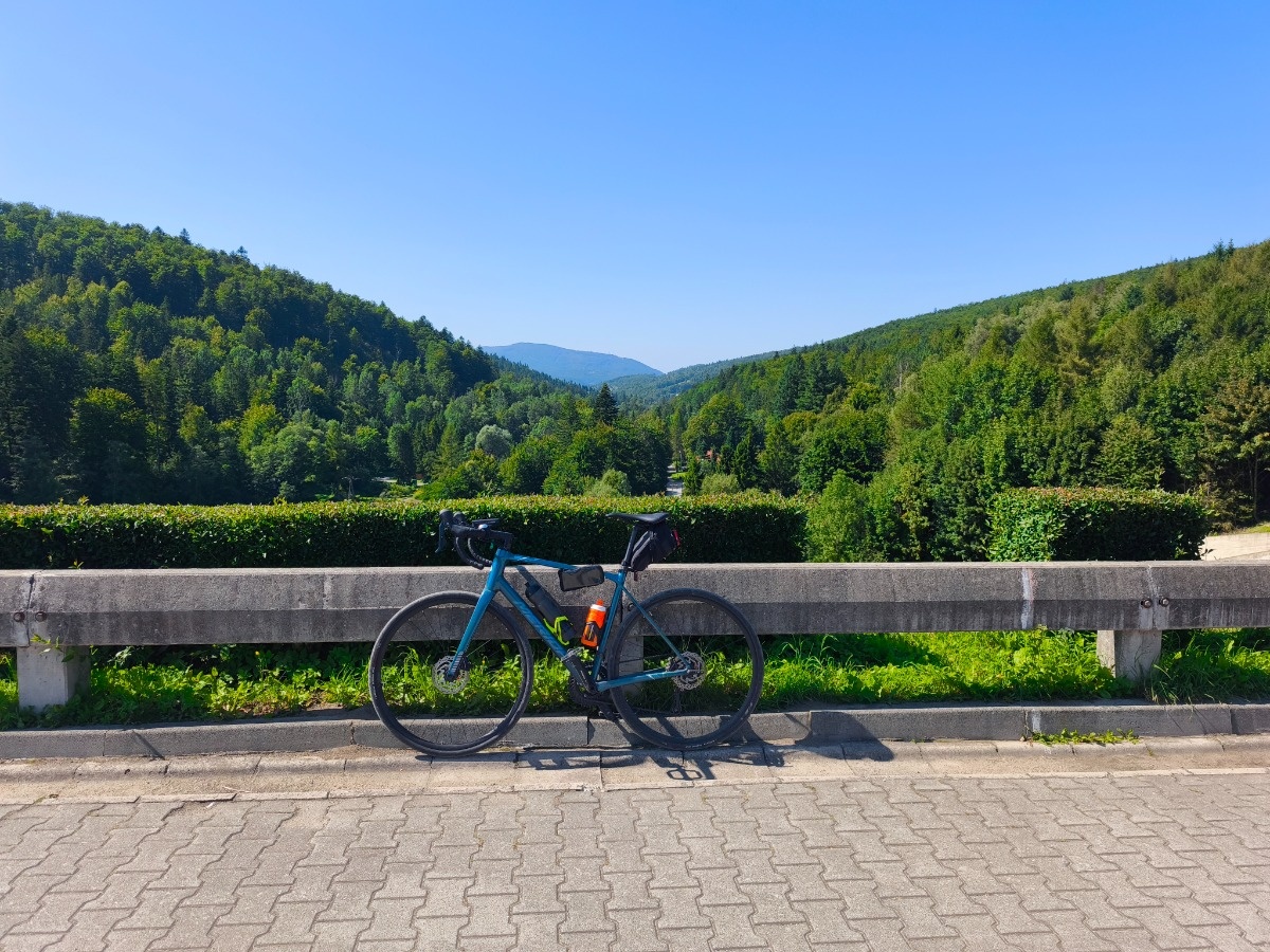 5d1d3576-2f61-41f9-b218-e1c2384f02b3