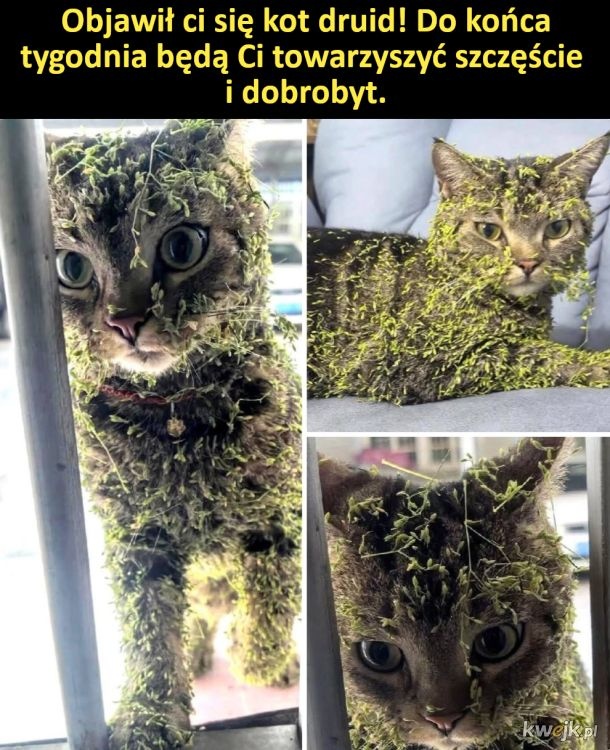 a7ac8960-f86e-4181-b63e-9e459b294b64