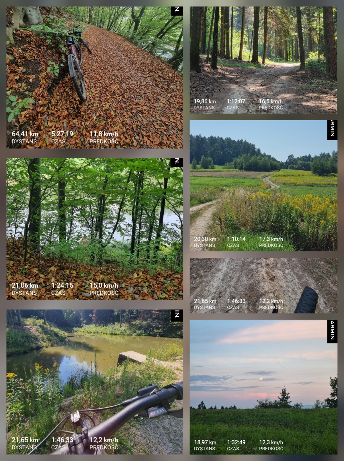 07ece82d-e0d2-4f29-a8f5-fc7663766fe3