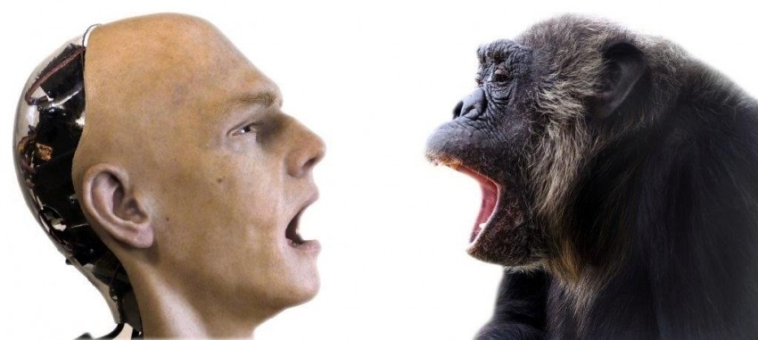 Szympansy zarażają się ziewaniem od androida