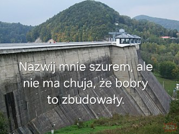 cee64bf1-ee31-4e0f-80b9-37fc1cd71844