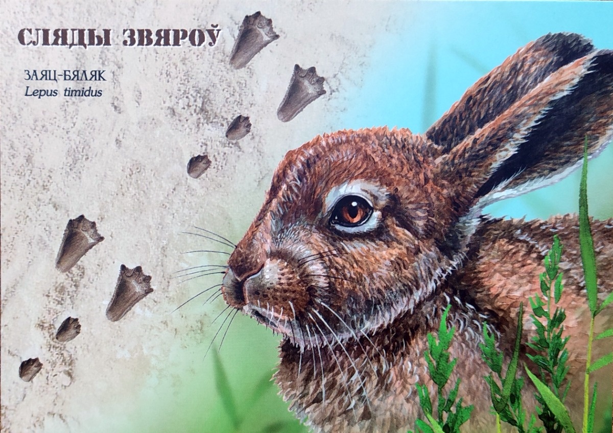 870e2c25-72be-432f-baee-6986d5082d43