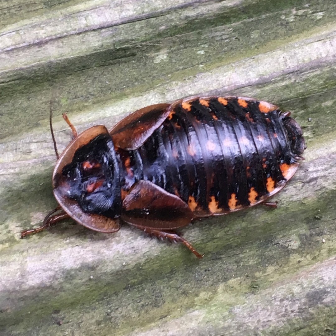 0ff8234f-0414-41b2-8b20-3d201d240fe5