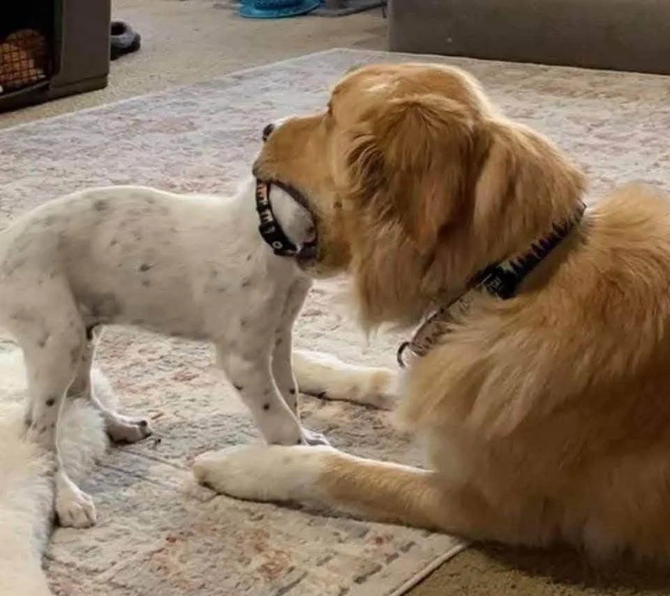 008acf67-f56c-4a4b-b3b0-289577704649