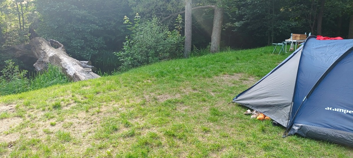 13c88593-c1c1-4dad-92a2-224da7f488d2