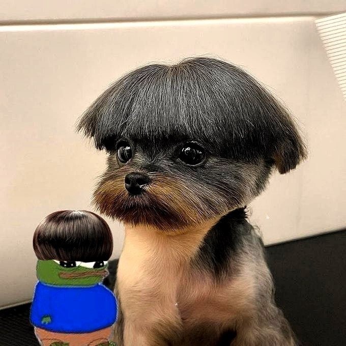 50a8134a-f290-4bc3-82e5-7145cc70b016