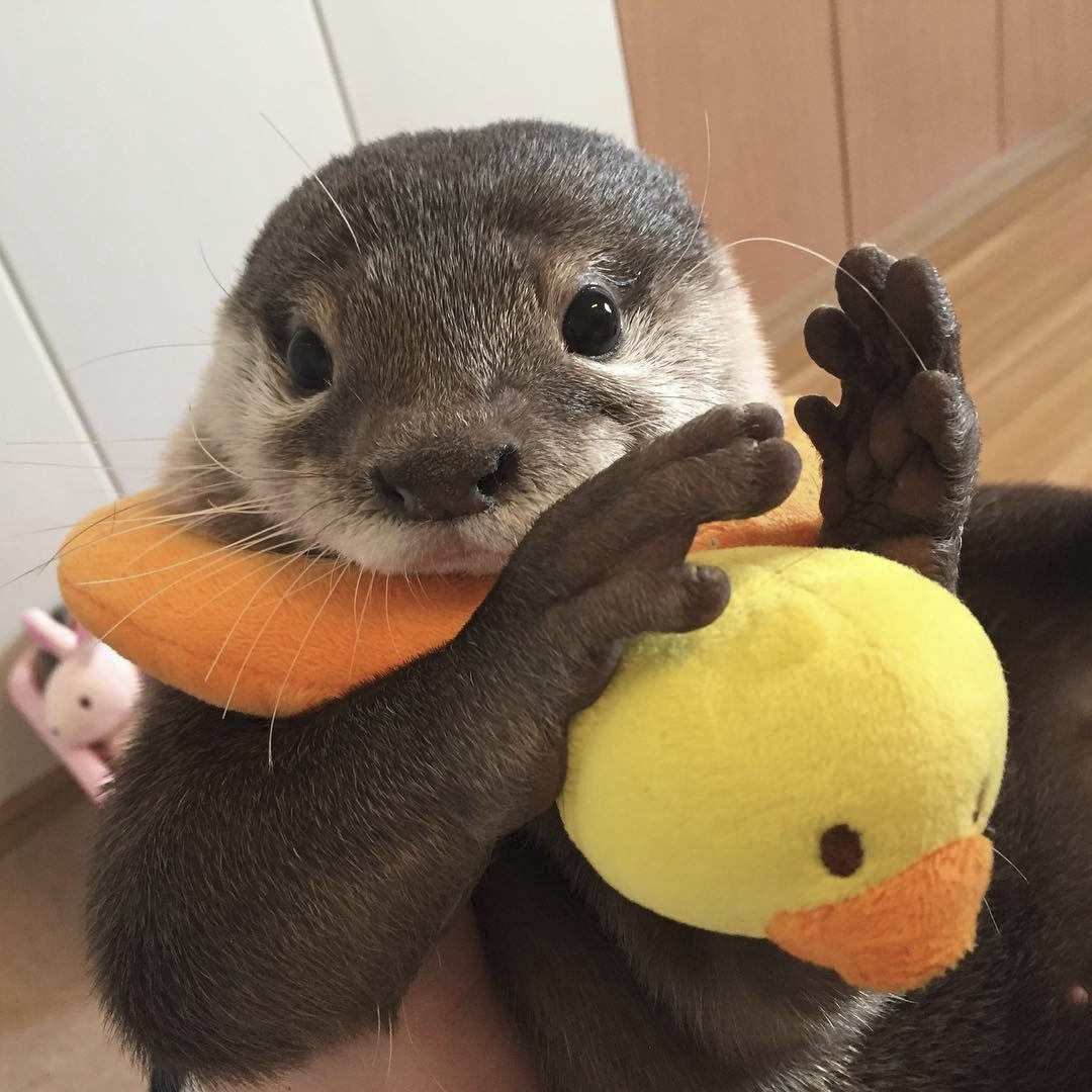 0af06e7c-d8b5-4349-afd0-89bb0648c813