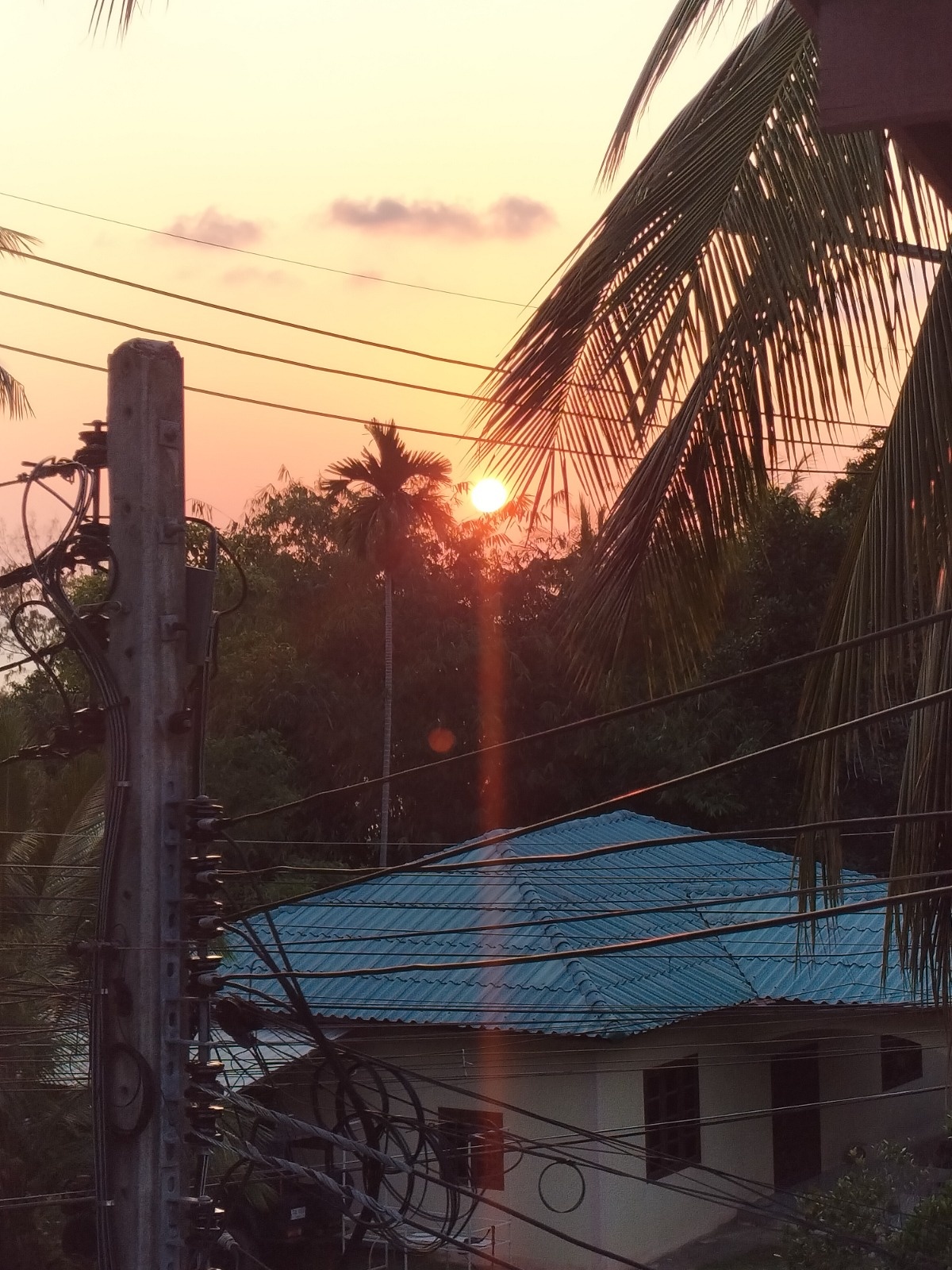 a2cab1ff-1bc6-4967-a077-3b71266cefe9