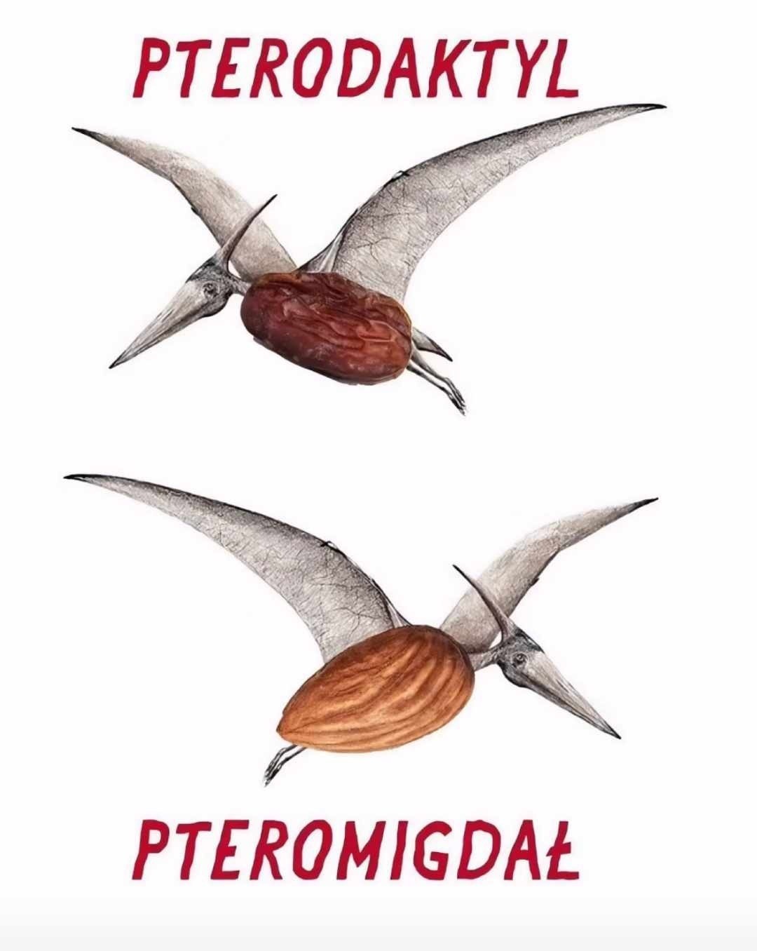 80413144-0640-4607-845b-b2836da1ca59