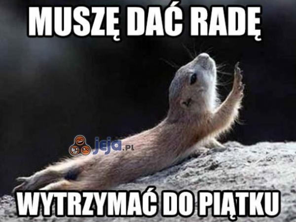 9bbf69b6-6902-4952-8aa9-254f31931a6b