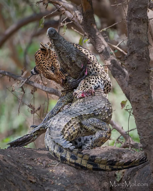 8bed1d90-8f32-44ce-8963-31e7ceccd2fb