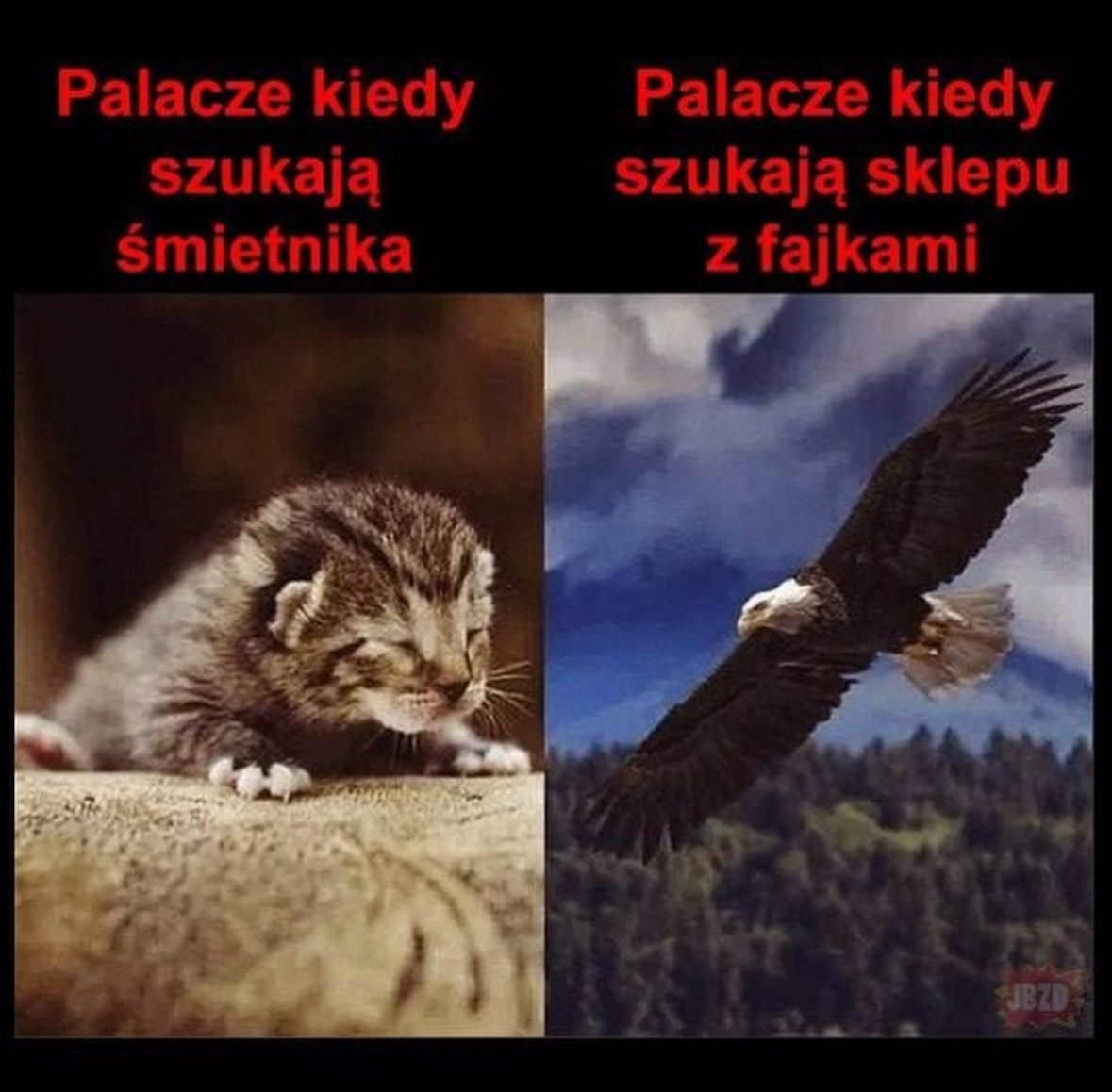 73c92696-e491-444c-b14e-a0bec70be0ab