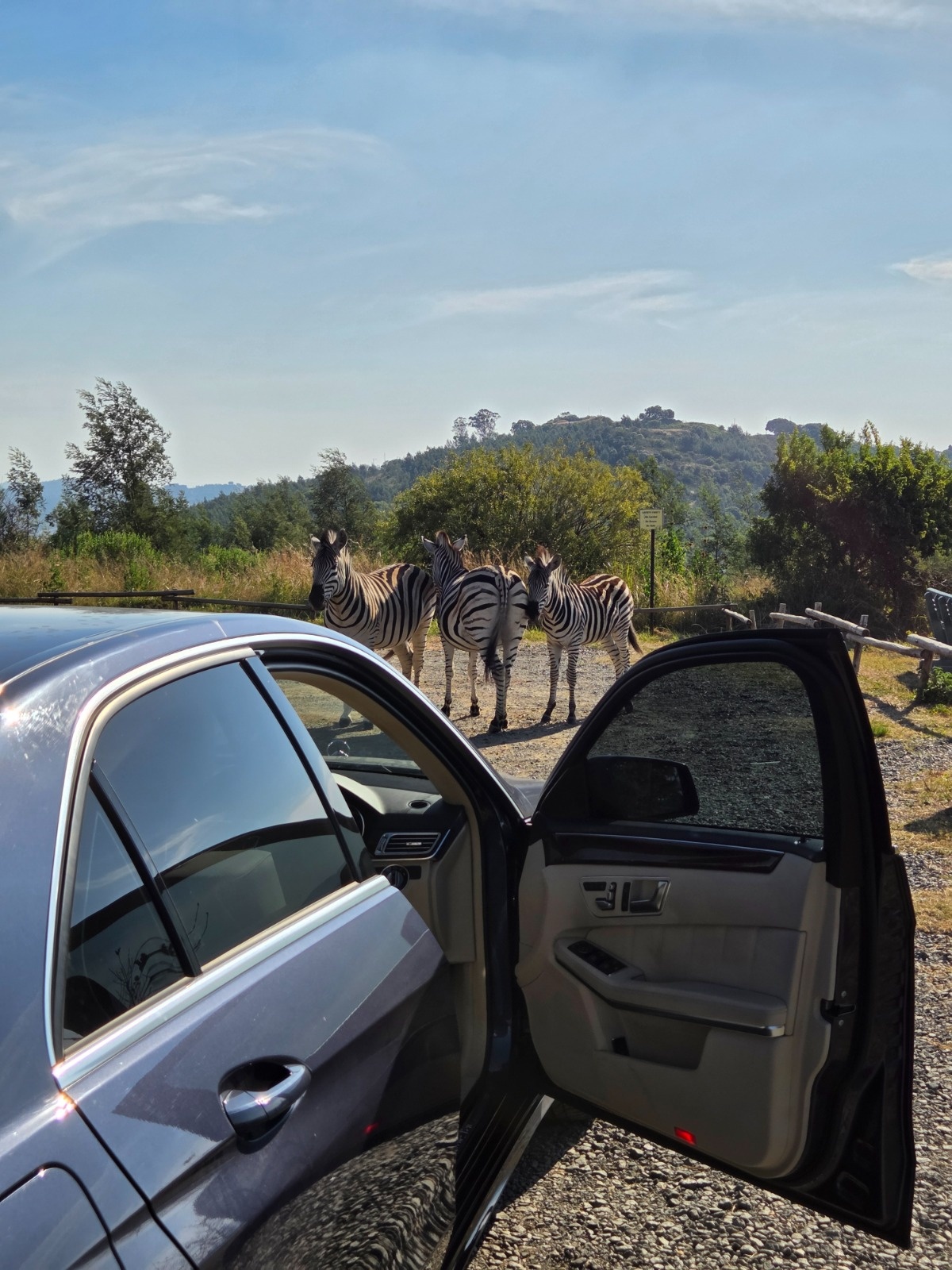 e3a714e8-5cfe-4c73-ac06-38878e8afc8d