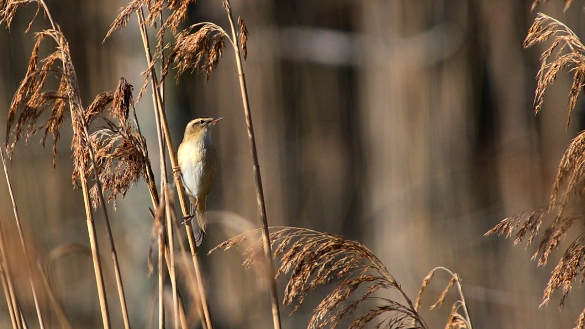 1989350b-b0c4-4aaa-974d-60c0de933aab