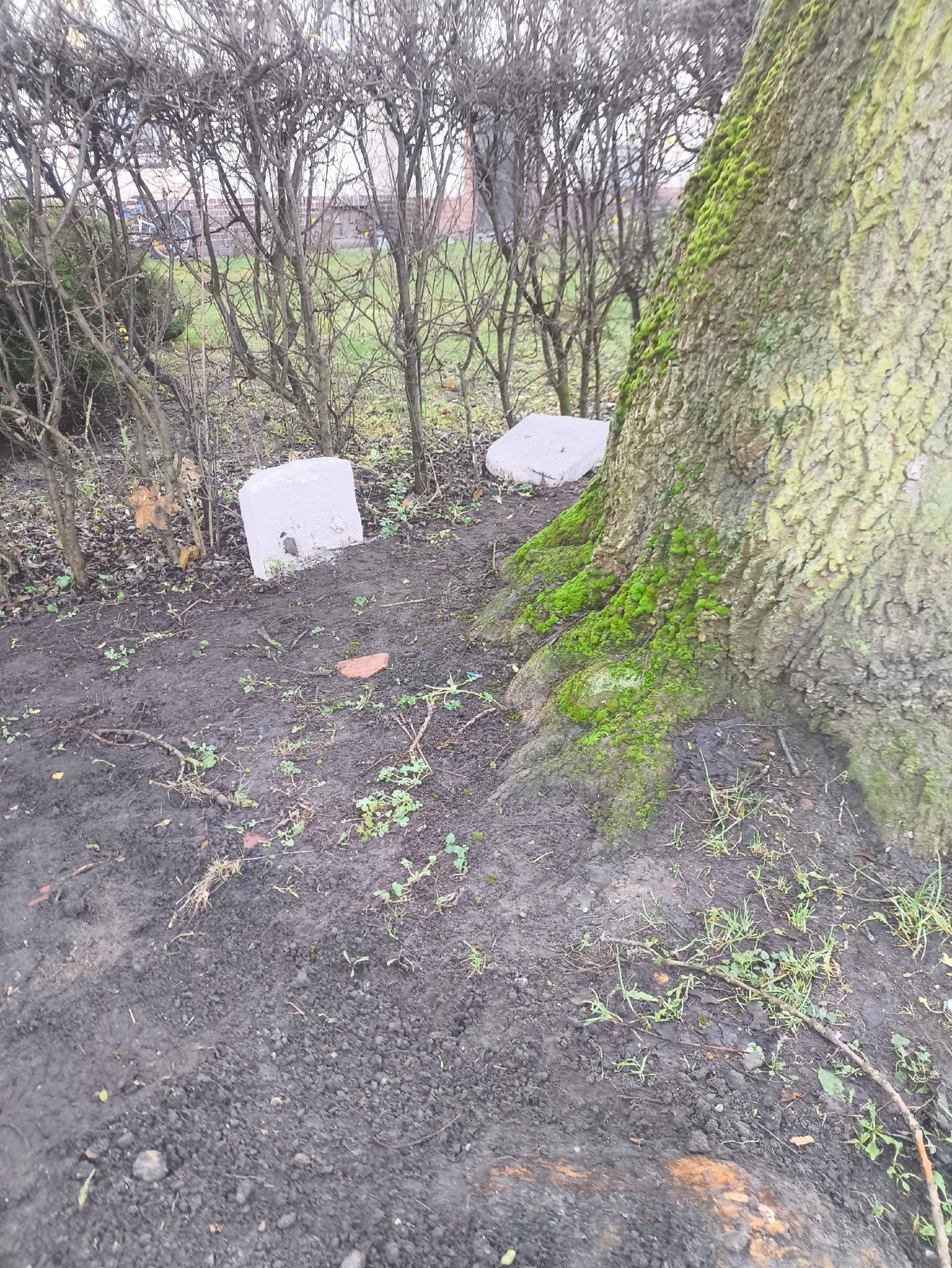 9eb1d1ac-ea70-4b28-b276-160b6cab5e7c