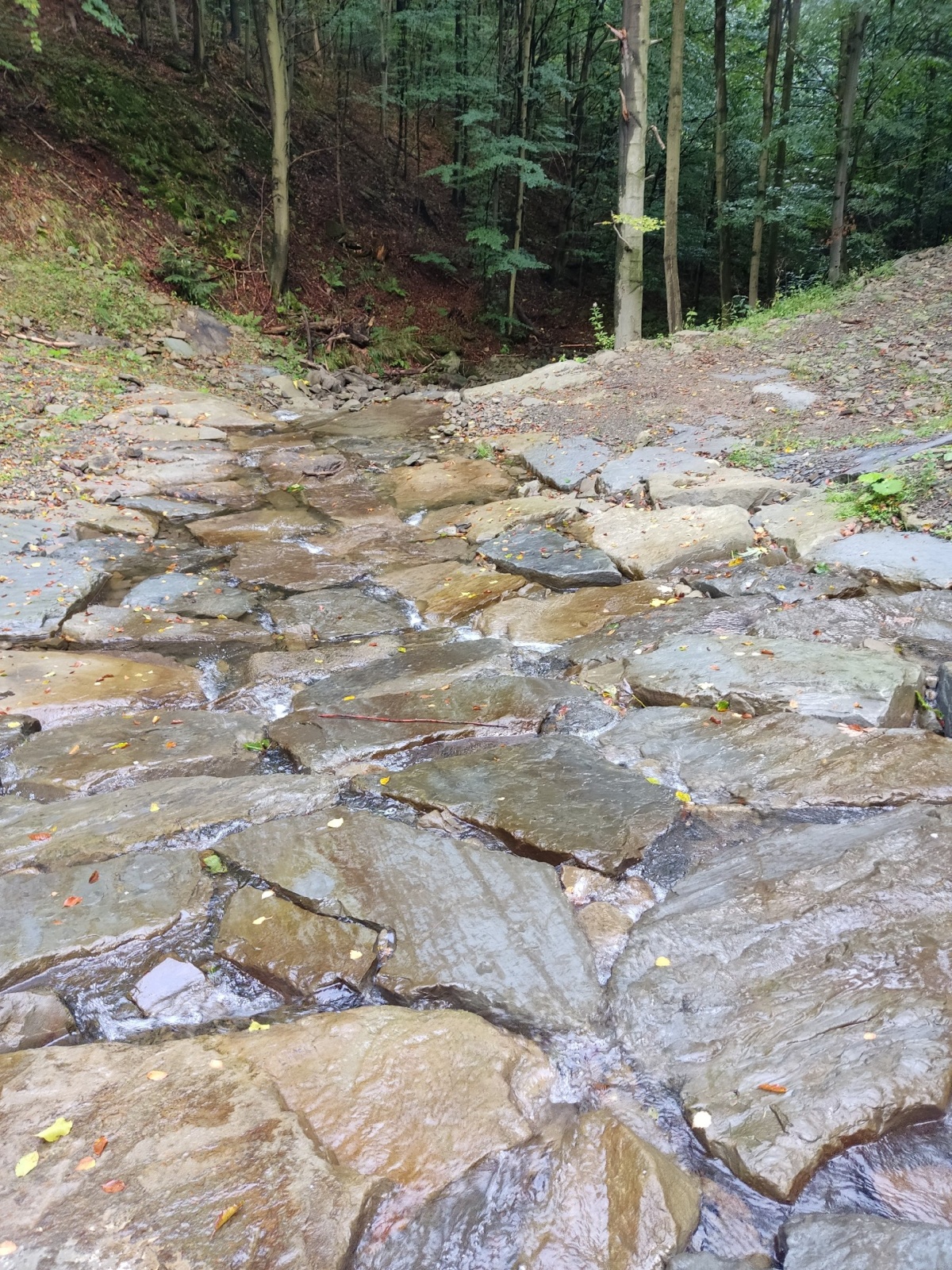 9e696089-230f-4587-8c1a-3e1f1c2c95c1