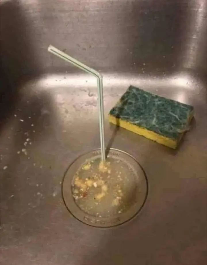 12d29015-d4ce-412c-a2b2-1e02d0501f90