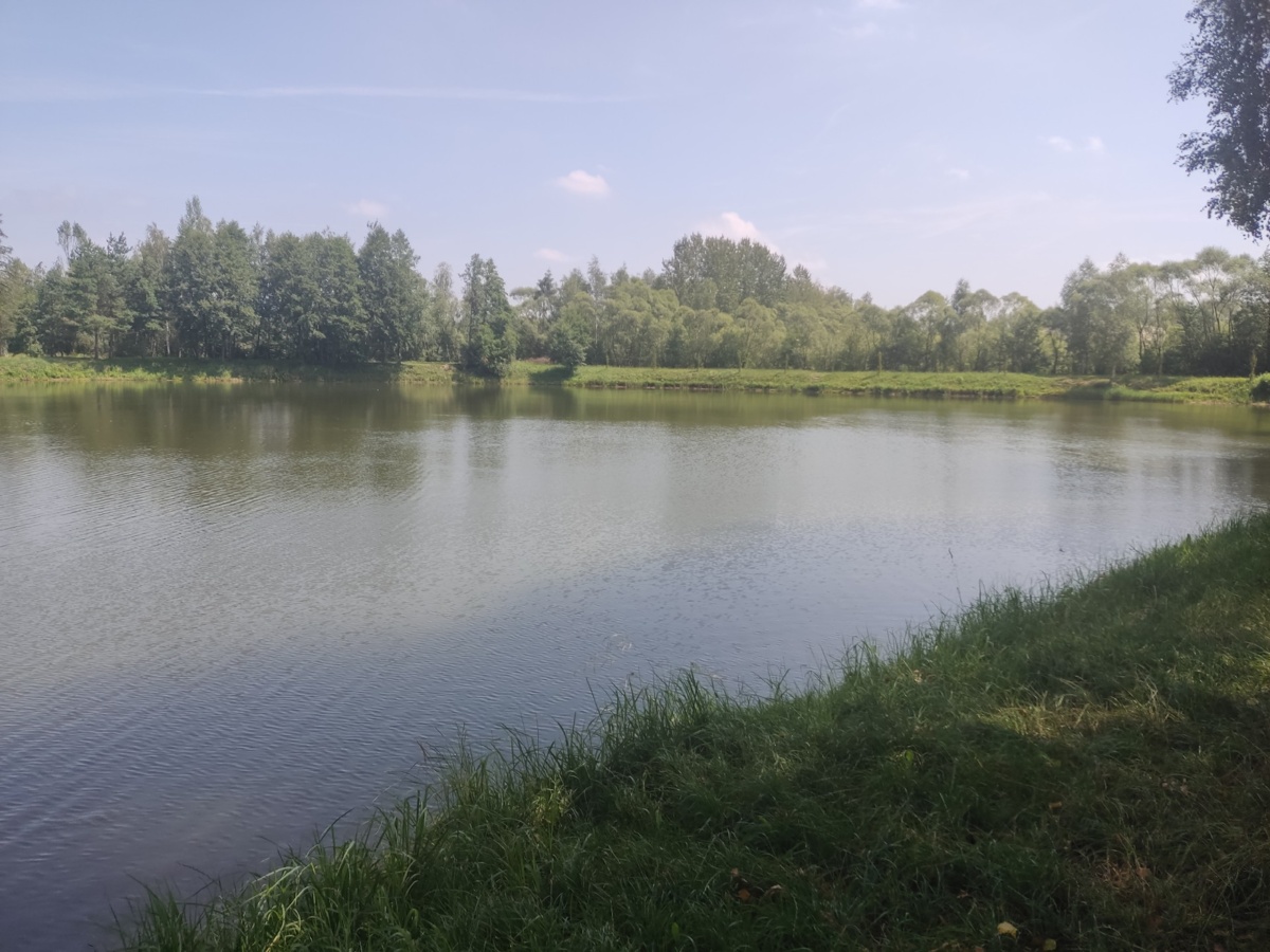 71772b2a-5adc-4d6c-b7f1-4407d3757aa5