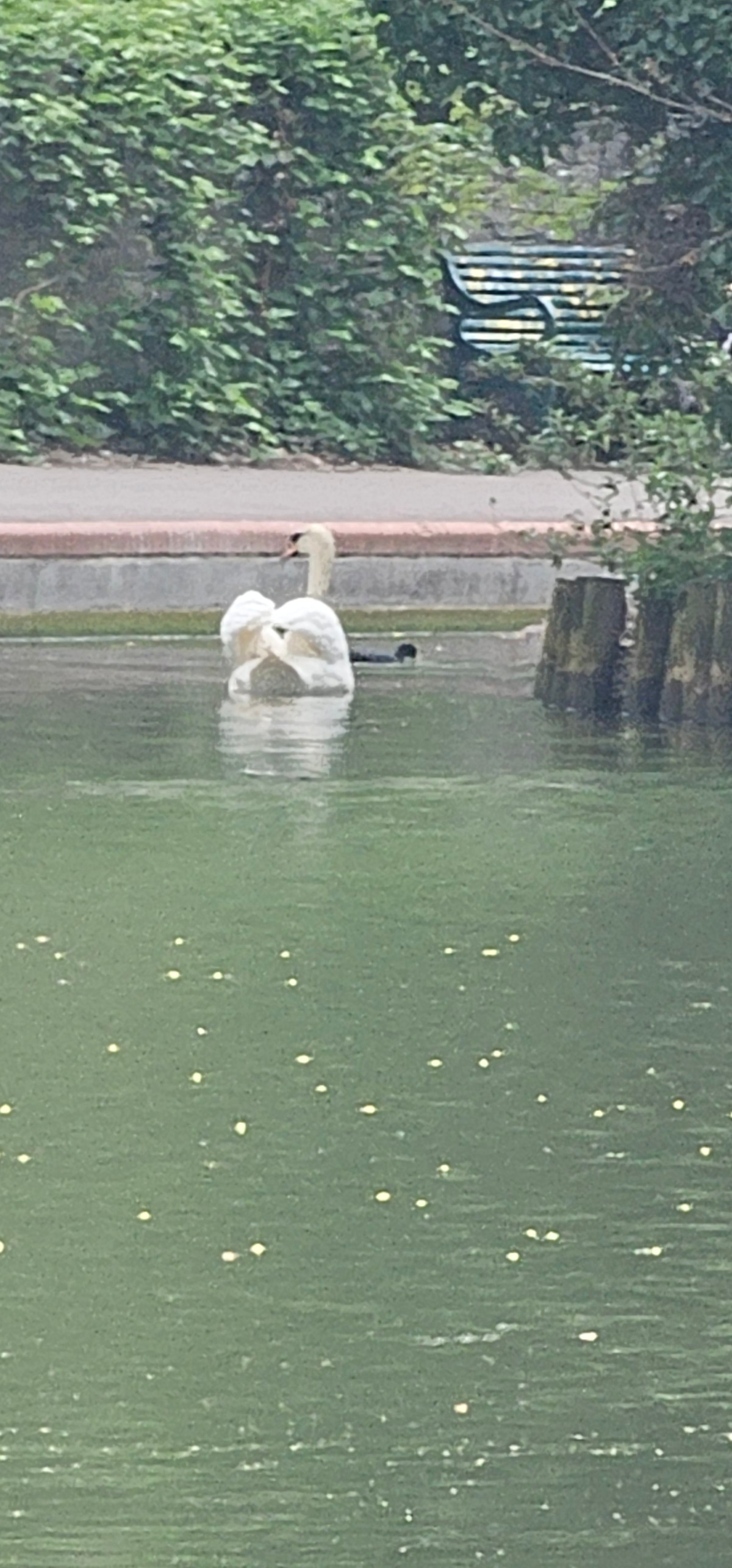 f56886e2-f08d-447c-a790-330ede692ad8