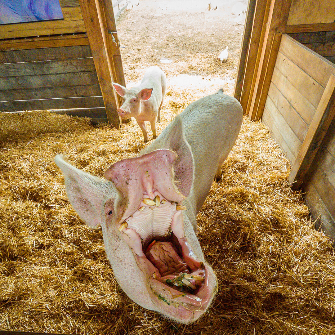 0882efe9-1a3f-460d-85ad-c42b587a8669