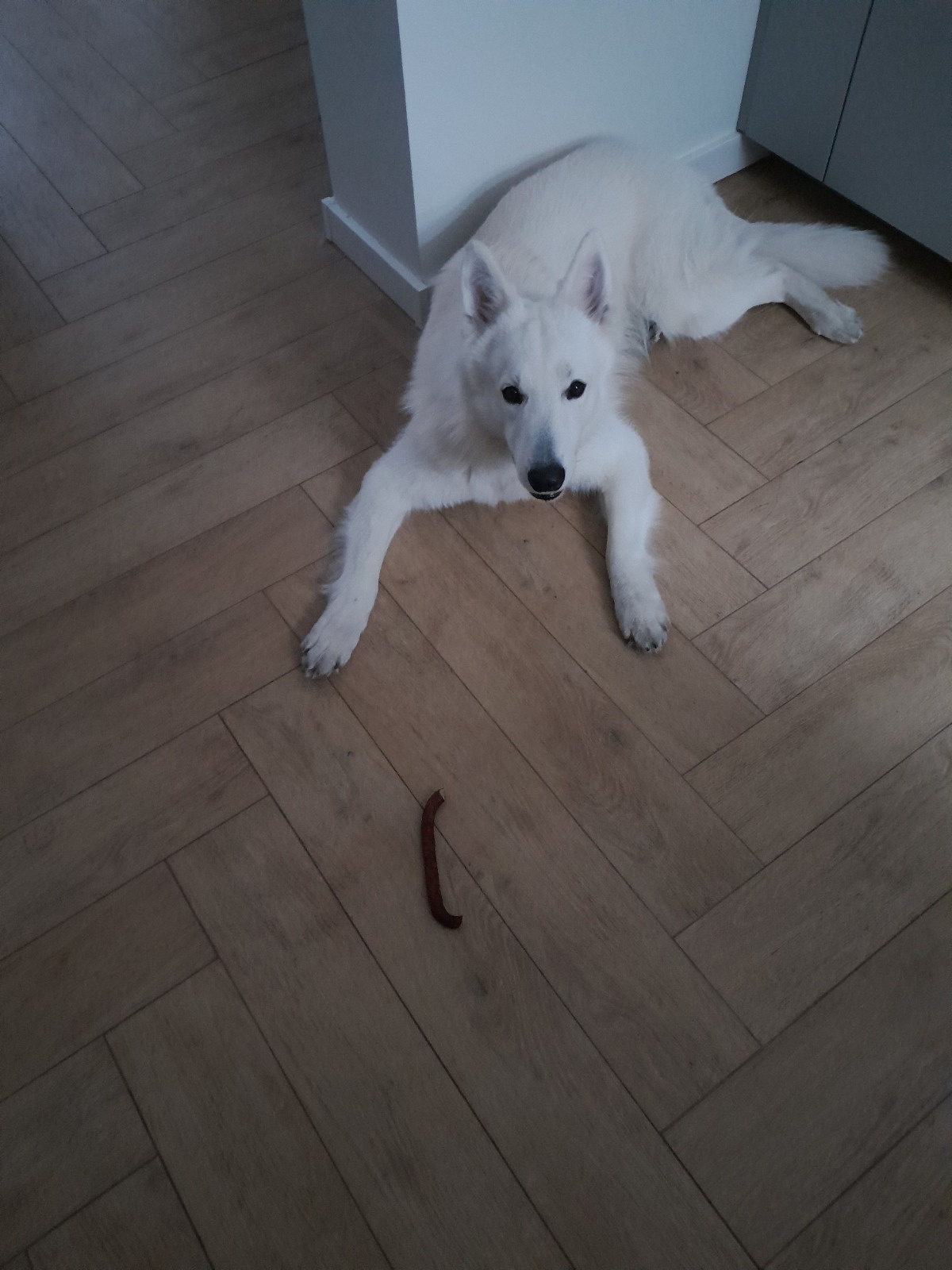 ce9b5846-45f6-40a4-a82e-27336e1e54d3