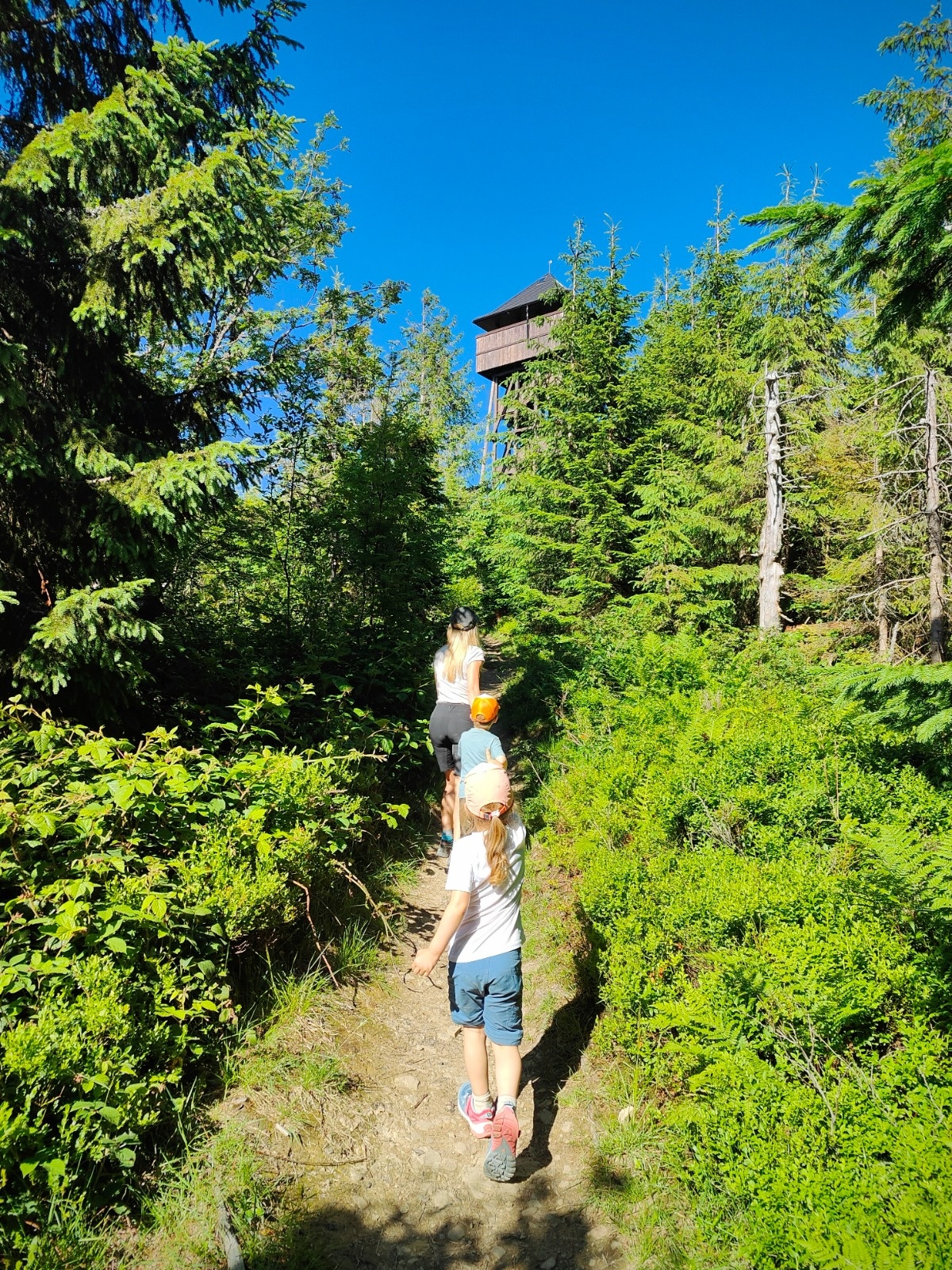 7367742e-5bae-49e3-8459-e3bc1497f78e