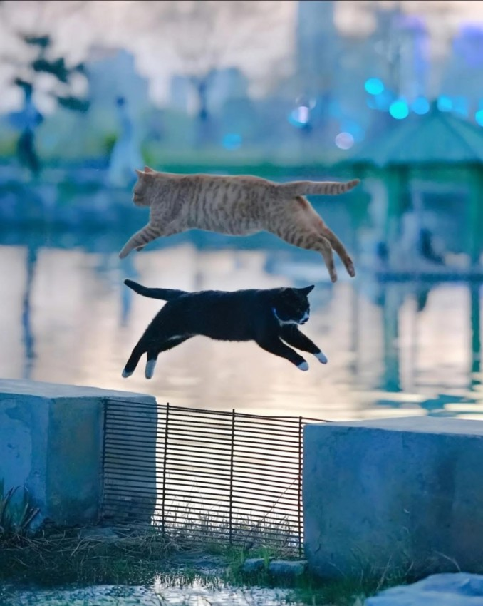 f5955ed6-0c7d-497b-8475-aeb85c599471