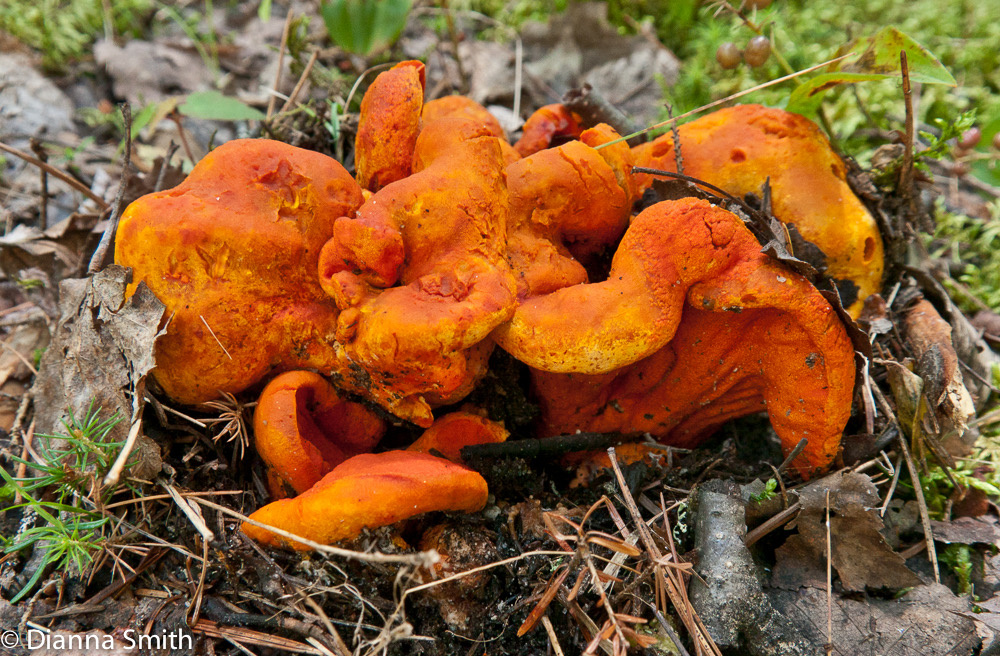 f13ecd90-c961-4252-a2fe-7ce3d5b141ce