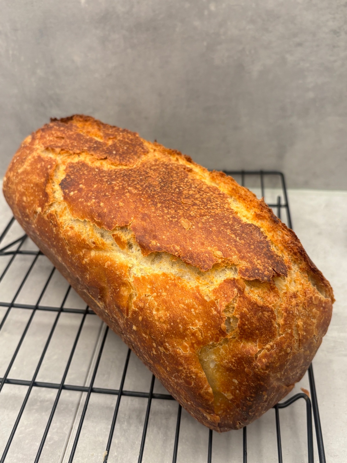 97bbb6cf-71f1-490c-8038-74cb9594fe46