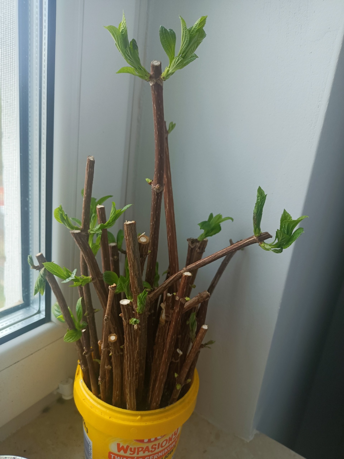 2bac7297-d69b-4017-9d09-95f4e4ee23f4