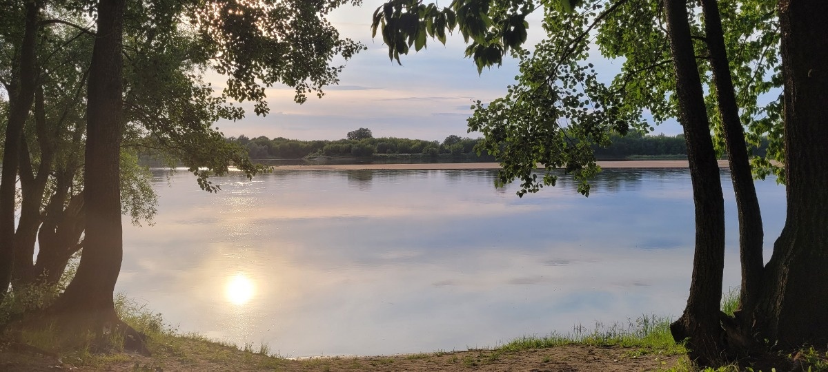 3f168256-58b3-42f4-a692-a0d5c0abf32e