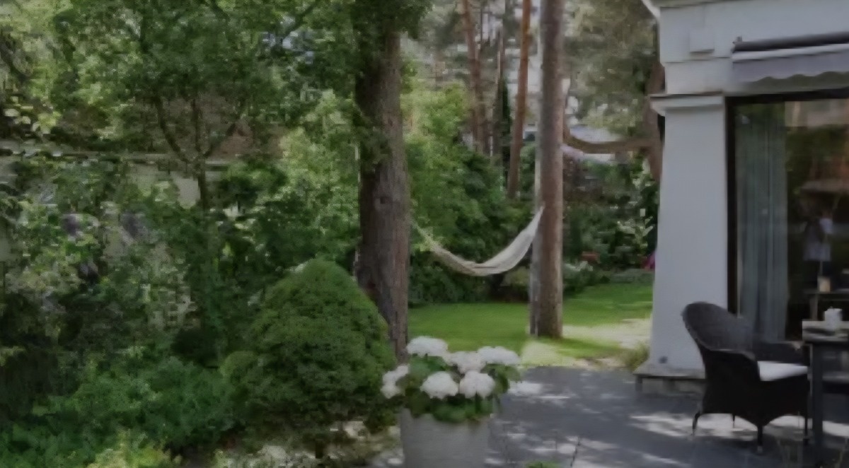 Niespodzianka od rządu dla właścicieli działek. Drzewo można wyciąć bez zgody urzędu, jeśli nie rozpatrzy on wniosku w 60 dni