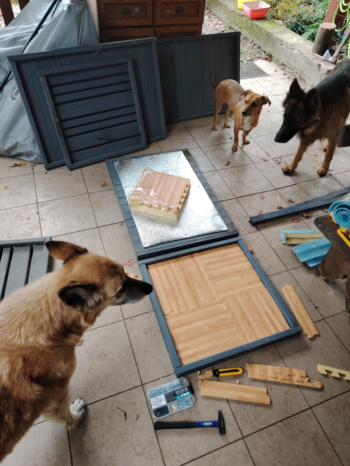 844e7237-e56f-4b16-94b4-25bdafbee1bc