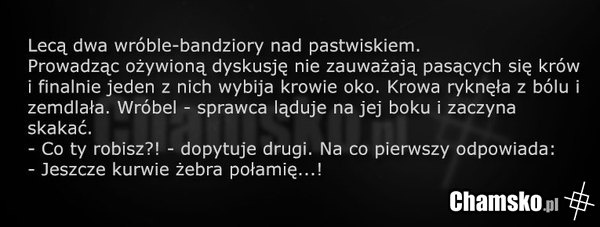 9e3fe7af-64f4-4620-a151-f6e45f75d0d5