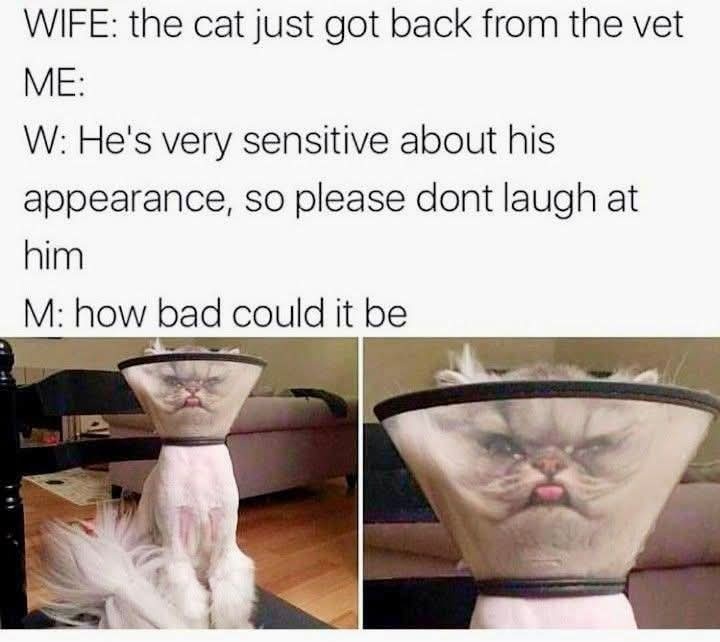 d81ccc8a-b675-44f8-bfe0-c2d44afb6945