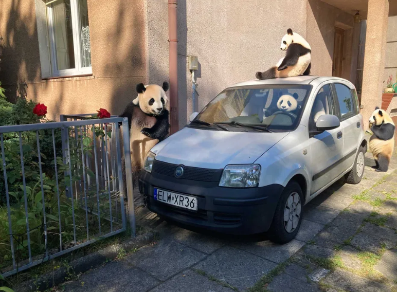 b2624c16-ea48-4777-973b-a68e9fe6c48e