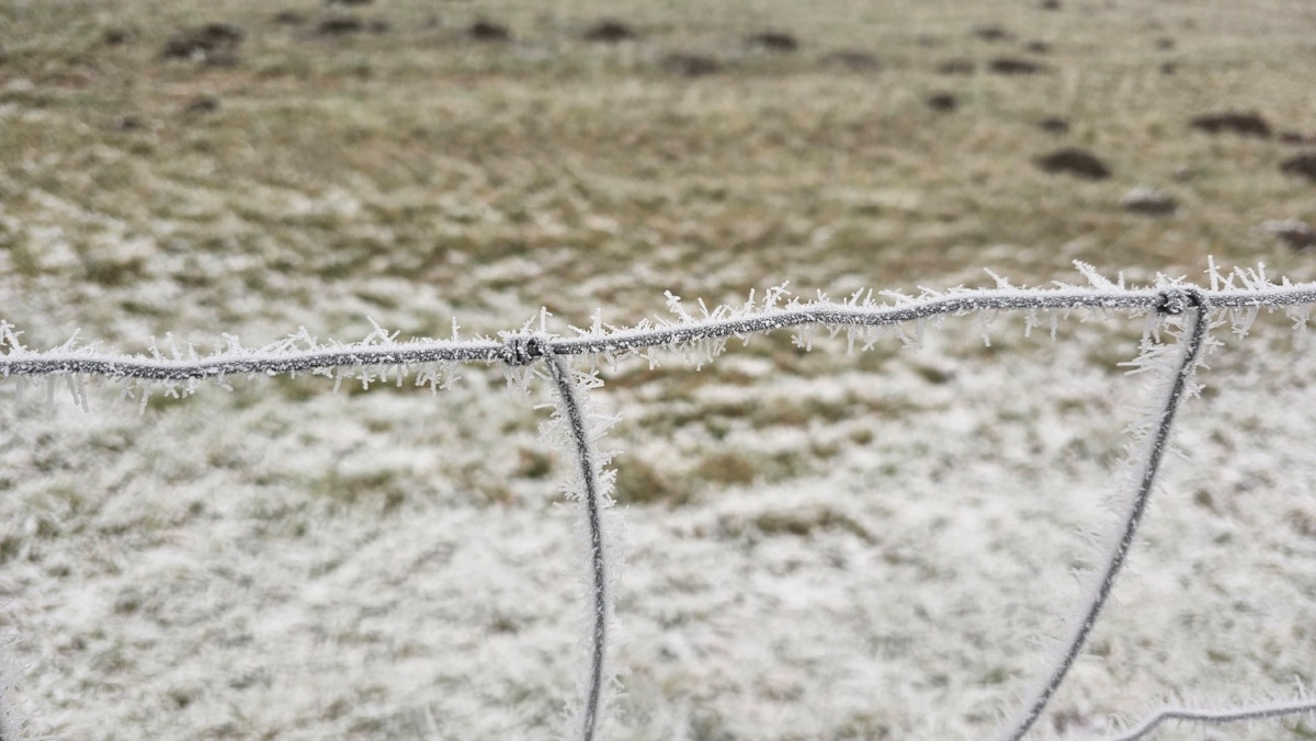 bae9fb5c-cb2a-4d11-a183-6bbe2d0cfae2