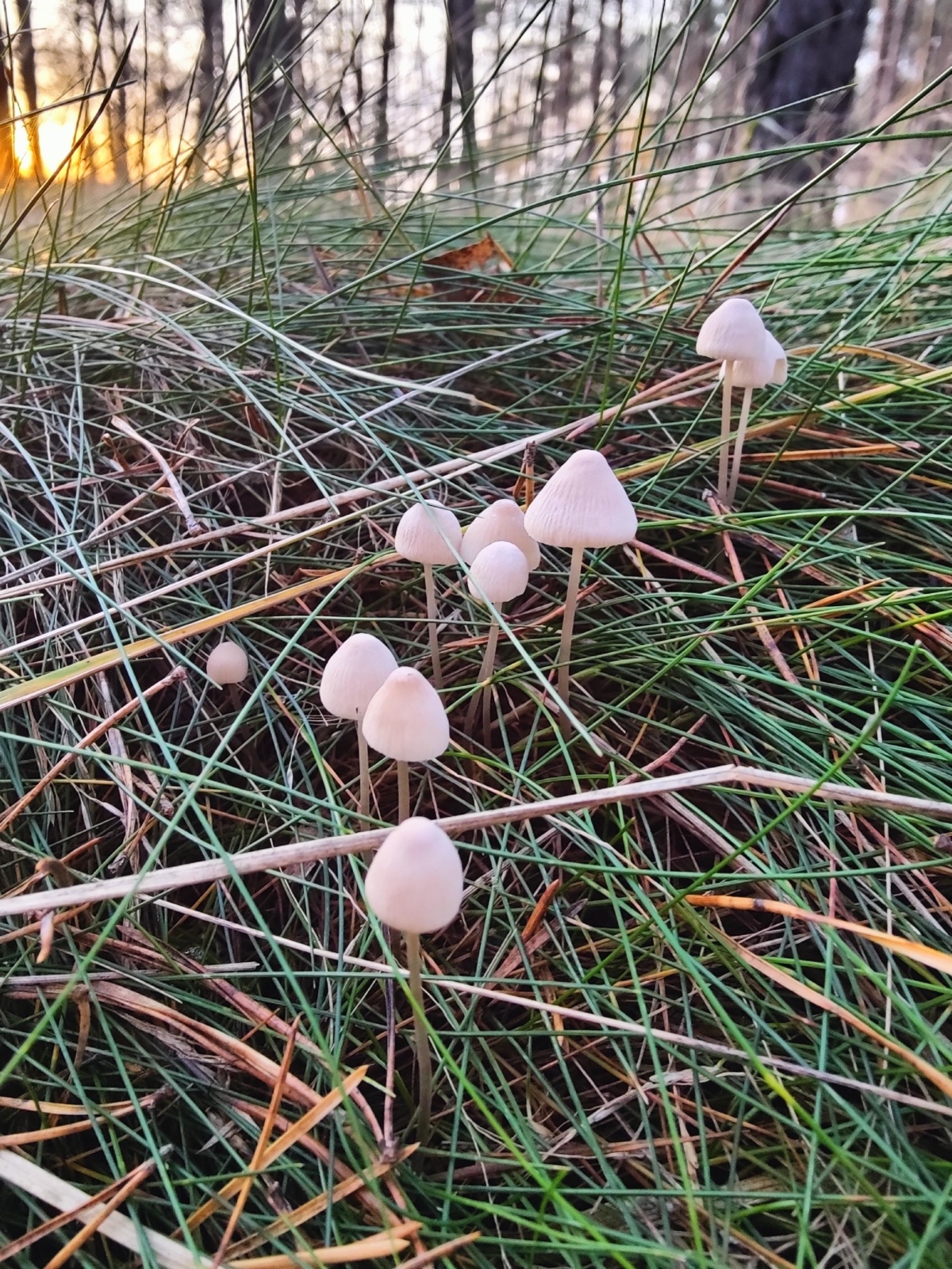 c0c96a44-faab-4716-b375-d30c2591294f