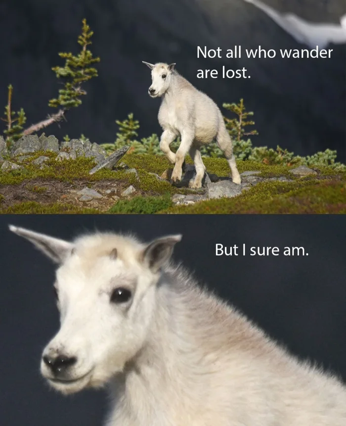 f3cbbc12-fd56-4ab1-98dc-59c5f60339fd