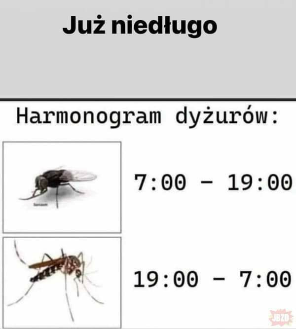 db35249a-bb41-4594-87c4-24dcc91f5ad7