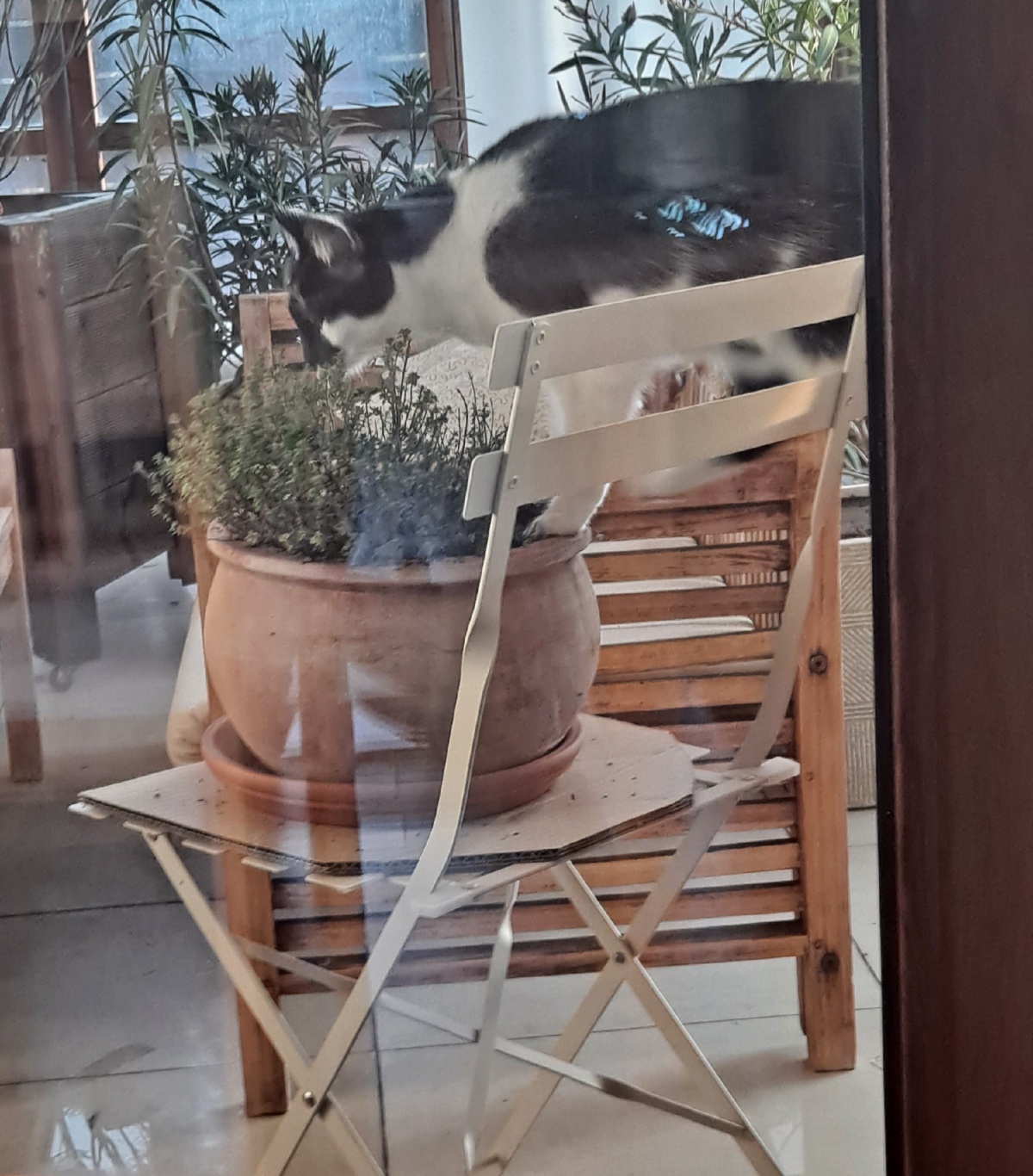 179cfaca-b221-4dcb-98a3-cb43d3d4af43