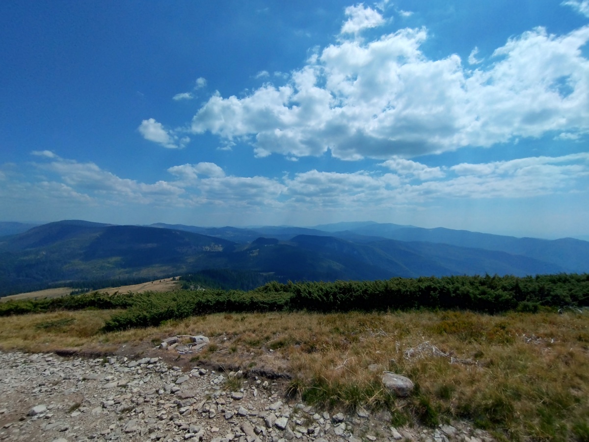 0886ed4c-d894-4985-8725-30b099c87fca