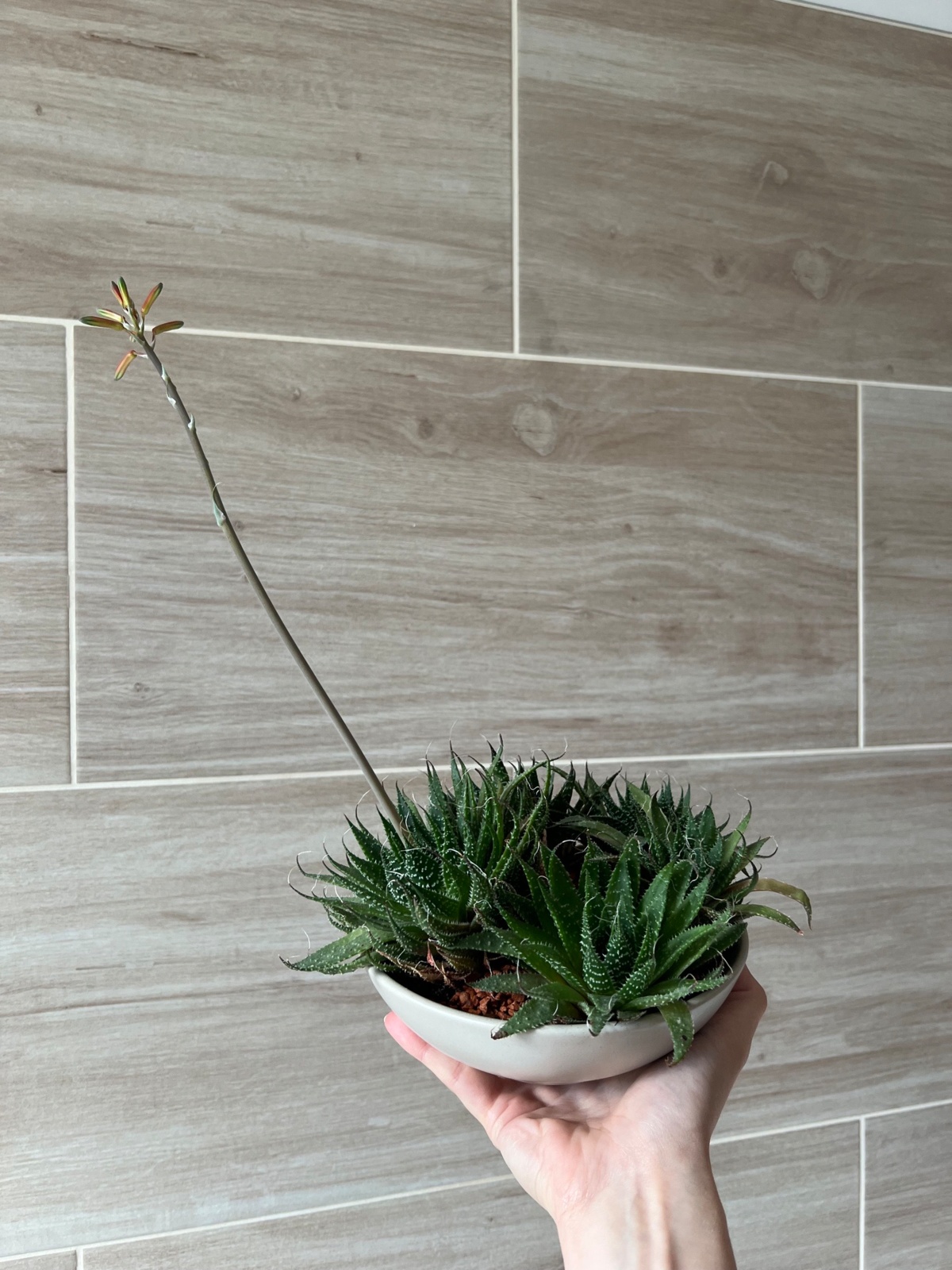 fa64382b-f4a5-4075-9e7f-781d5ab4bbe1